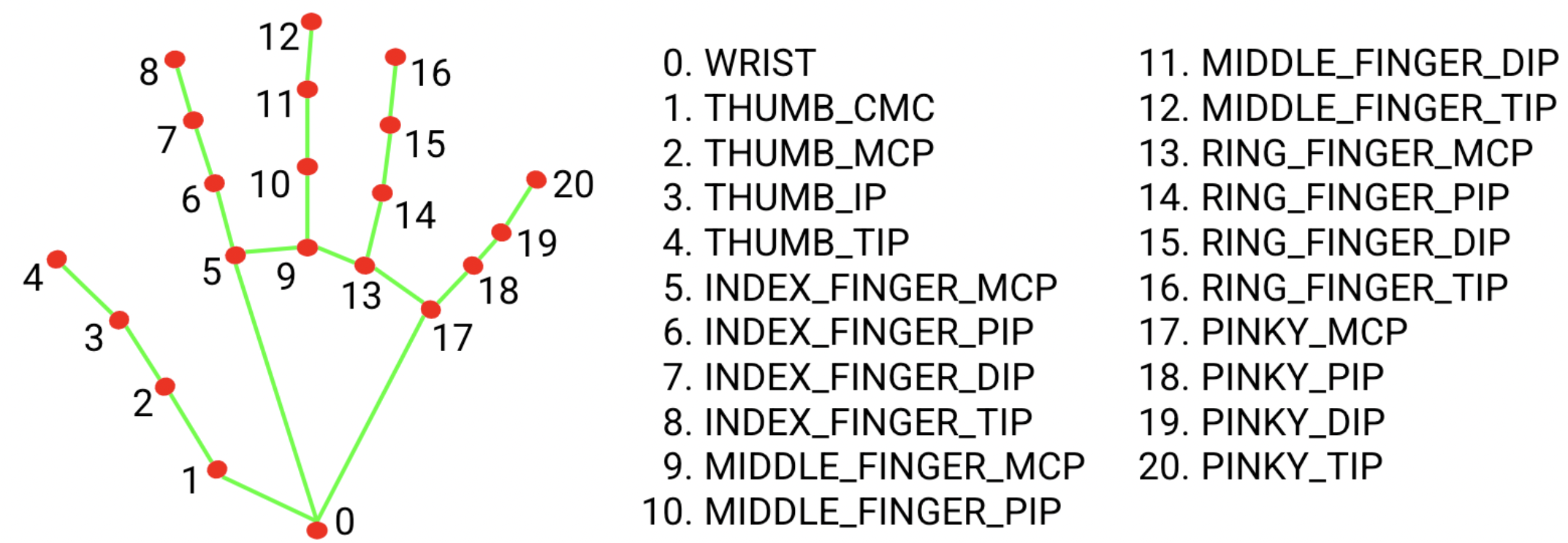Codes for specific hand landmark points